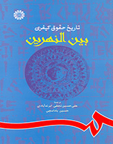 تاریخ حقوق کیفری بینالنهرین